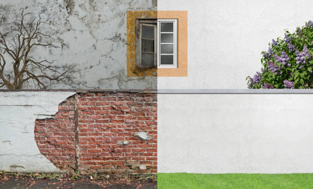 Best Basement Mold Removal  in Ridgewood, NJ